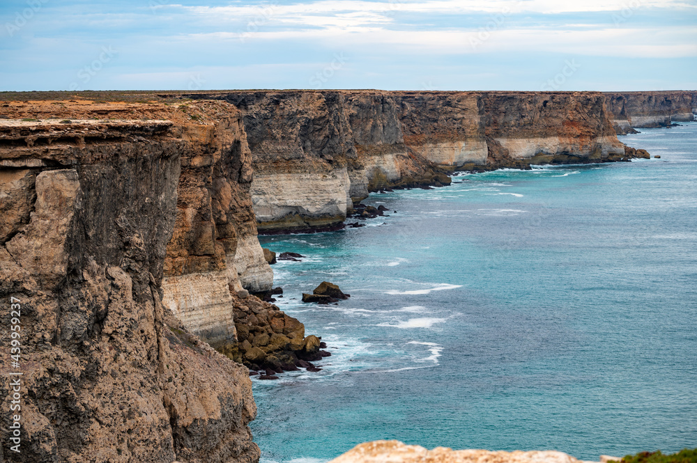The Bunda Cliffs stretch roughly 100 km along the Great Australian Bight. The cliffs formed when Australia separated from Antarctica approximately 65 million years ago.