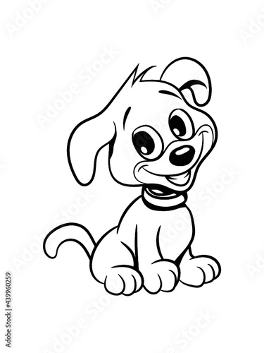 Hund jung welpe 