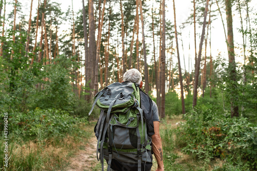 Rear view of mature caucasian man walking in forest
