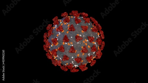 Coronavirus or covid-19 in microscopic view of floating influenza virus cells as dangerous flu strain cases as a pandemic medical health risk isolated on black background. 3D rendering.