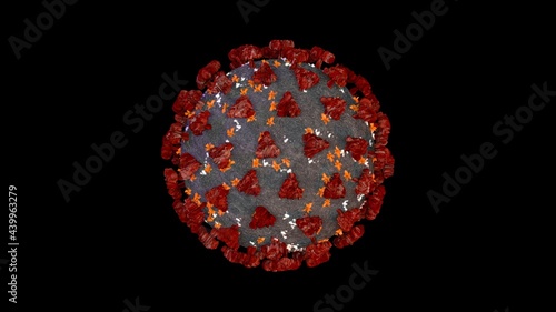 Coronavirus or covid-19 in microscopic view of floating influenza virus cells as dangerous flu strain cases as a pandemic medical health risk isolated on black background. 3D rendering.