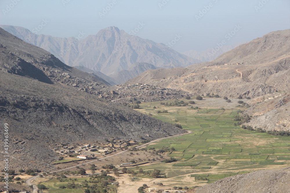 Fertile valley in the Musandam mountains near Khasab, Oman.