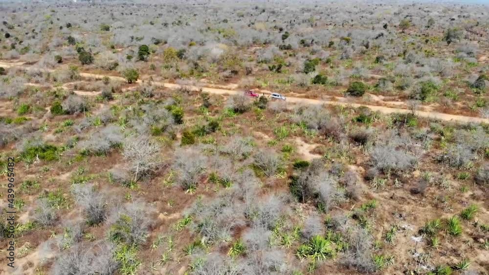 Cars Driving On Desert Road To Tsingy de Bemaraha National Park In Madagascar. aerial drone Cars Driving On Desert Road To Tsingy de Bemaraha National Park In Madagascar. aerial drone