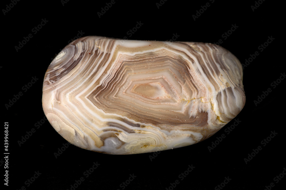 Naklejka premium Brown botswana agate, polished
