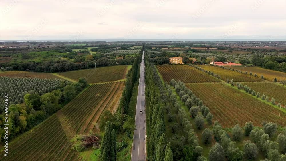 Car driving along the path of a cypress alley on sunny day.Traditional Tuscan landscape, Italy. Rear view Car driving along the path of a cypress alley on sunny day.Traditional Tuscan landscape, Italy. Rear view