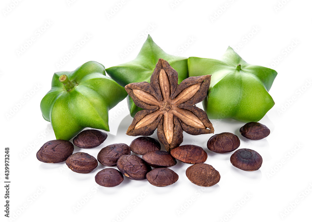 Sacha-Inchi peanut, fresh capsule seeds fruit of sacha-Inchi peanut