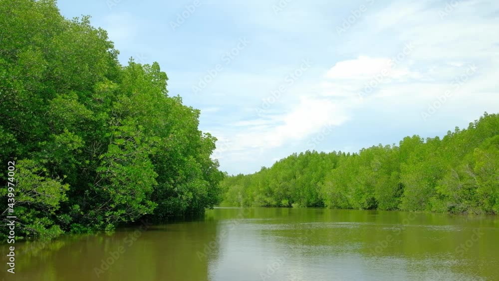 Travel ecosystem by traditional bamboo rafting through the lush mangroves scenic in one of Thailand's yellow river waterways. It is an outdoor adventure in tropical environment of canals and woods. Travel ecosystem by traditional bamboo rafting through the lush mangroves scenic in one of Thailand's yellow river waterways. It is an outdoor adventure in tropical environment of canals and woods.
