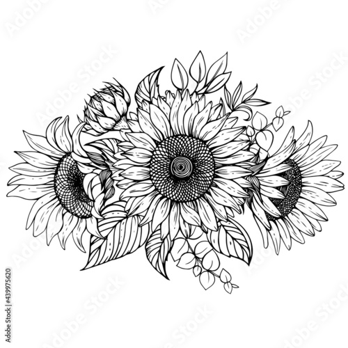 Vector bouquet of sunflowers with twigs and leaves. photo