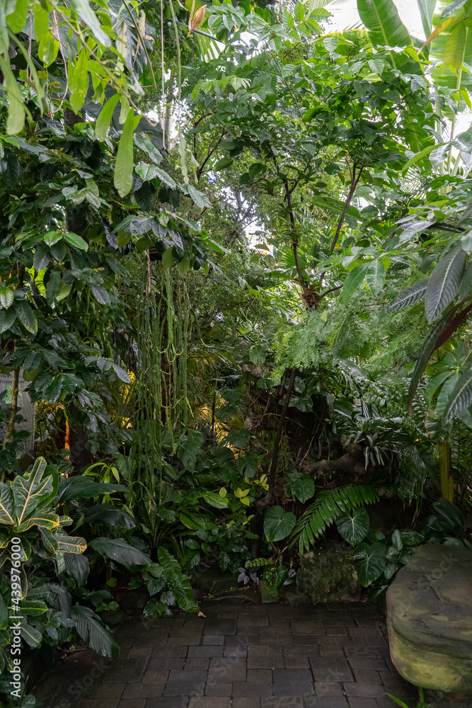 Jungle Vibes In The Greenhouse