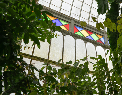 Photography Overgrowth & Stained Glass In The Conservatory