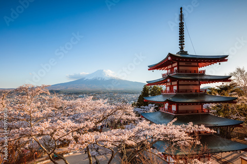 Iconic Chureito pagoda during cherry blossom season with mt. Fuji, Fuji Five lakes, Japan photo