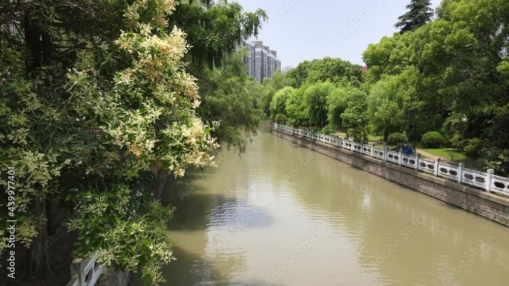 Drone flying over the river with traditional Chinese decoration. No people view. Tourism, travel or culture concept b-roll footage in Shanghai China, drone aerial view of calm water front and trees Drone flying over the river with traditional Chinese decoration. No people view. Tourism, travel or culture concept b-roll footage in Shanghai China, drone aerial view of calm water front and trees
