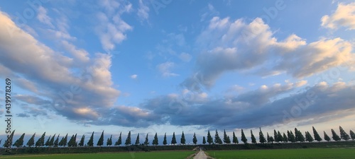 grass and blue sky