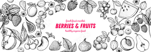 Berries and fruits drawing collection. Hand drawn berry sketch. Vector illustration. Set of various fruits and berries