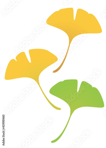 紅葉 イチョウの落ち葉のイラスト Vector De Stock Adobe Stock 紅葉 イチョウの落ち葉のイラスト Vector De Stock Adobe Stock