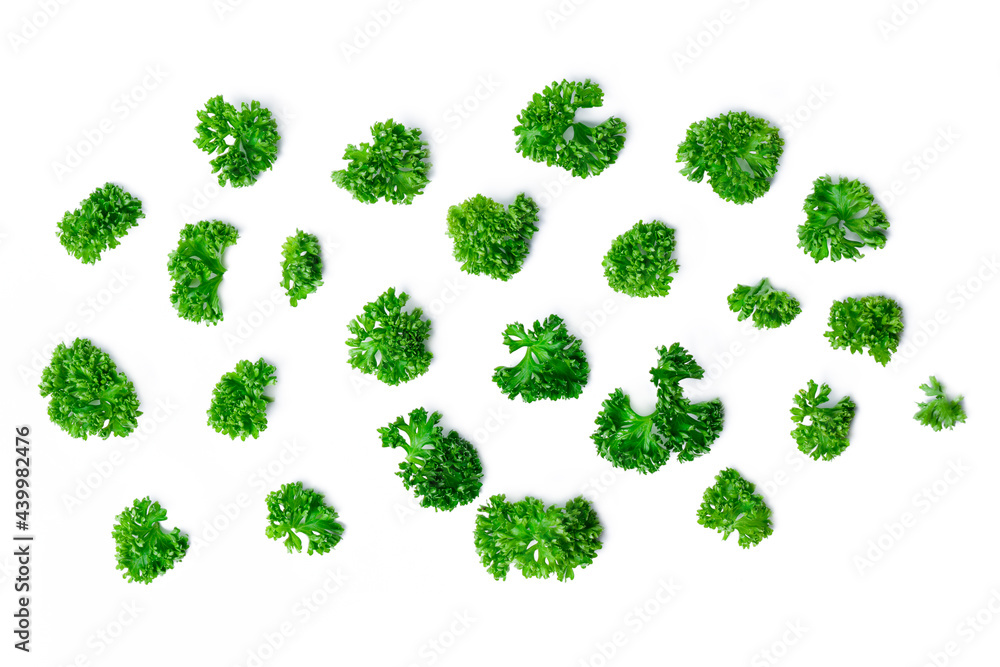 Top view chopped parsley leaves on white background. Top view chopped parsley leaves on white background.