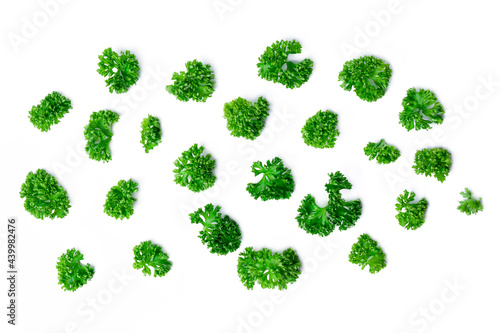Top view chopped parsley leaves on white background.