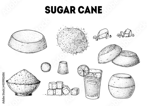 Brown Sugar Organic Unrefined. Sugar cane sketch collection. Hand drawn vector illustration. Vintage design template. Panela, Gur or jggery powder. Vintage Design for packaging.