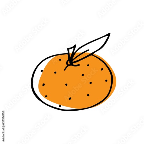  Vector illustration of mandarin with leaf in doodle style