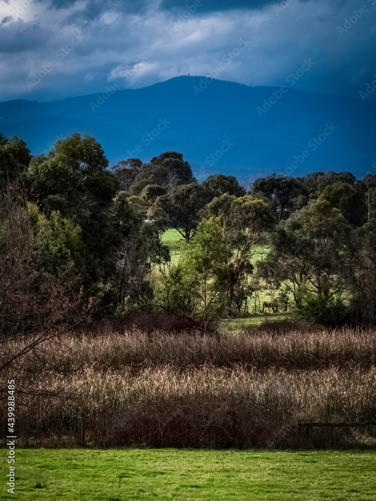 Fototapeta premium Mountain View vert