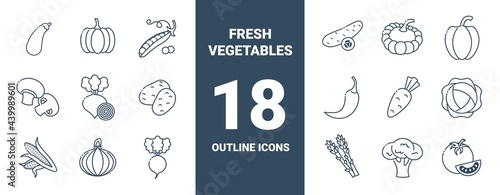 Outline icons collection of fresh vegetables. Vector monochrome illustrations isolated on white background. Healthy food concept.