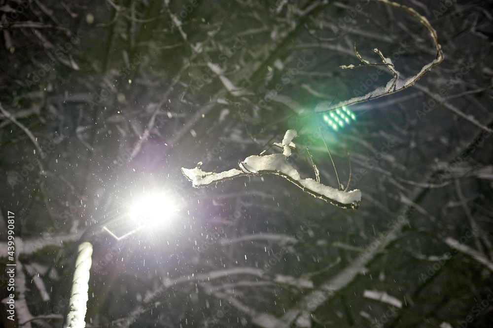 Bright lantern and branches of snowy trees in the park in dark evening Bright lantern and branches of snowy trees in the park in dark evening