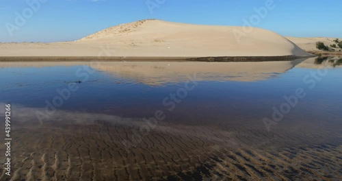 The Courant d Huchet,  Landes department, Nouvelle Aquitaine, France photo