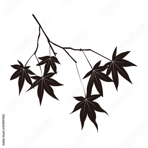 紅葉シルエット
