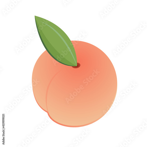 Peach vector. Peach on white background. Peach logo design.