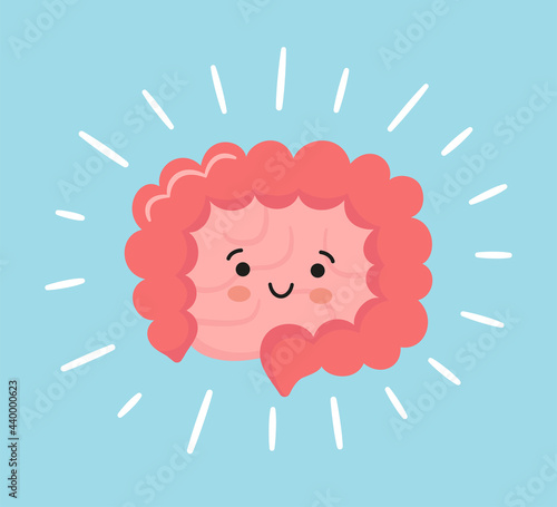 Happy kawaii character of small and large intestine. Human body internal organ of the gastrointestinal tract. Abstract bowels. Vector illustration.
