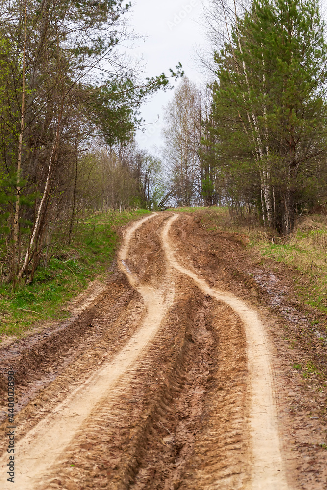 Obraz premium dirt road in the forest