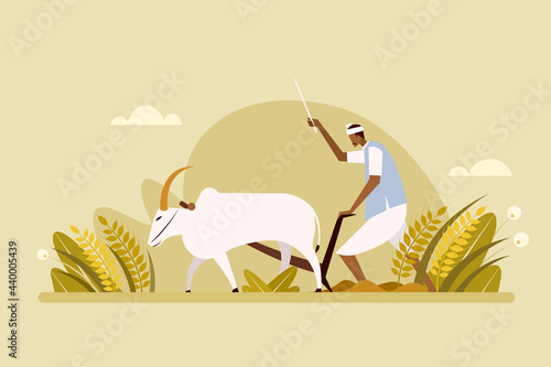 Indian farmer plows the agricultural field using bullocks
