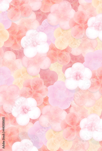 Fototapeta Naklejka Na Ścianę i Meble -  ハガキサイズ　淡く柔らかな梅の花模様　縦