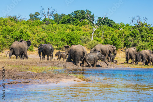 The oldest national park in Botswana