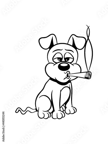 Hund jung welpe 