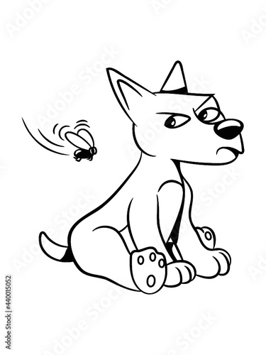 Hund jung welpe 