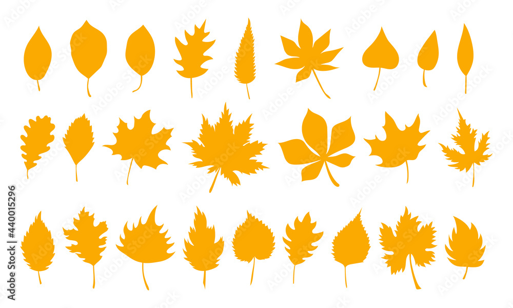 Big set of vector autumn leaves, herbal element. Collection of fall simple orange leaves. Can be used as isolated sign, symbol and icon. Collection of autumn botanical vector flat plant illustration Big set of vector autumn leaves, herbal element. Collection of fall simple orange leaves. Can be used as isolated sign, symbol and icon. Collection of autumn botanical vector flat plant illustration