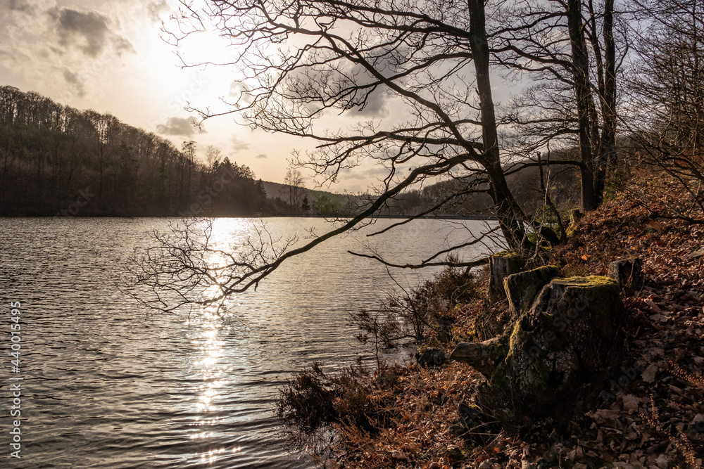 Lake Jubachtalsperre in forest in winter in Sauerland, Germany Lake Jubachtalsperre in forest in winter in Sauerland, Germany
