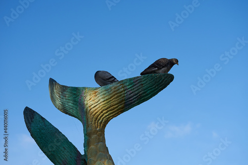 Low angle shot of doves on top of fish tail monument with clear sky in the background photo