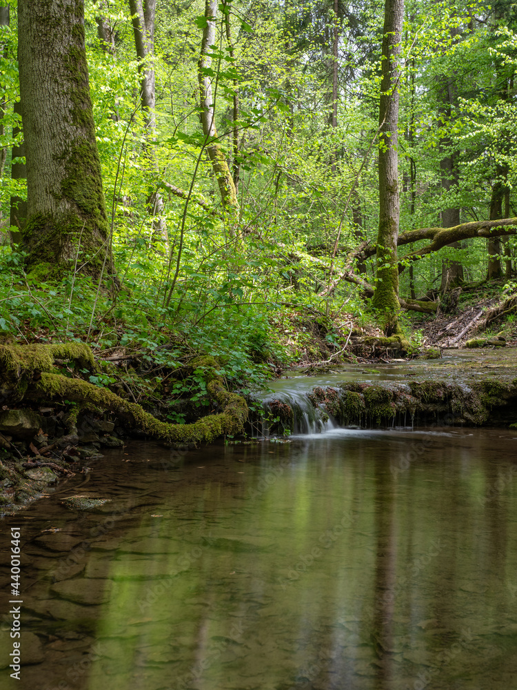 Waterfall on stream in forest in Germany