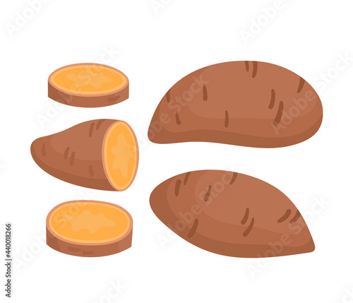 Vector colorful set of sweet potatoes isolated on white.