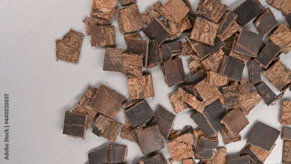 top pan herb DuZhong or Eucommiae Cortex or Eucommia Bark top pan herb DuZhong or Eucommiae Cortex or Eucommia Bark