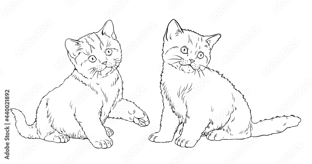 Cute kittens for coloring. Template for a coloring book with little cats.