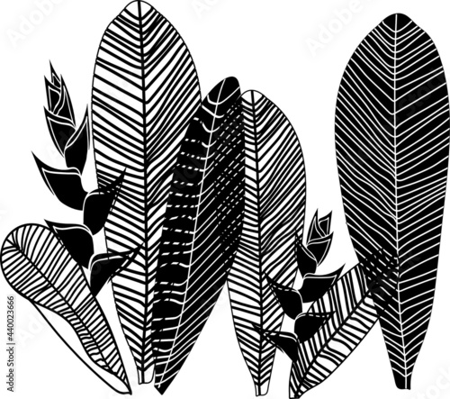 Black silhouette of tropical leaves and flowers on transparent background, fabric, and paper print