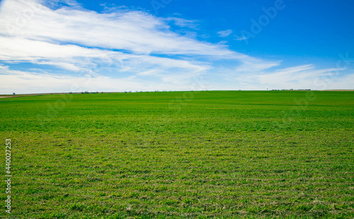 Green field and blue sky, USA 