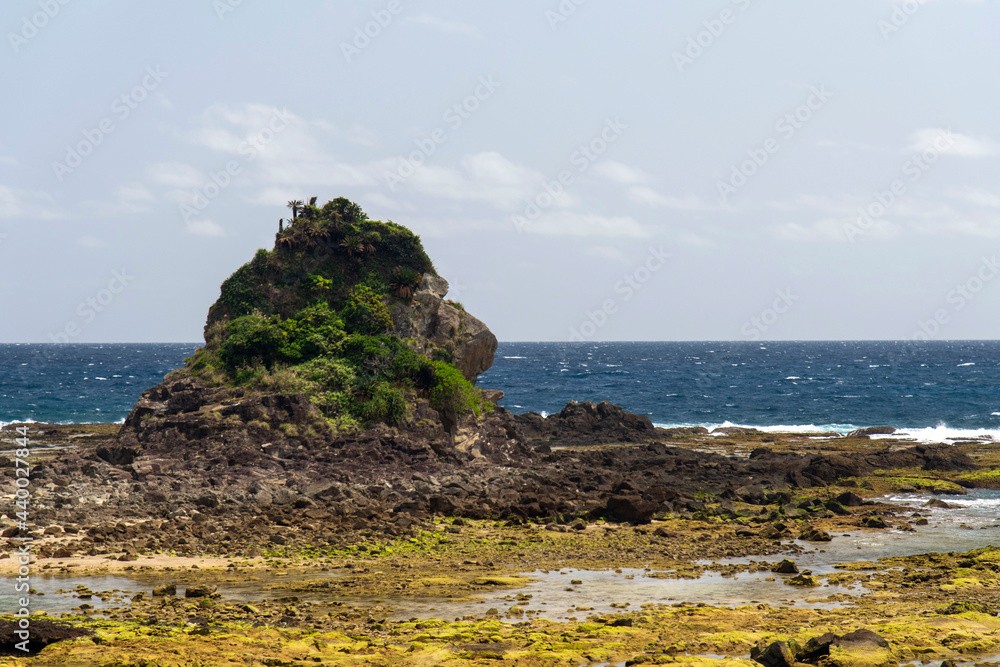 鹿児島県　徳之島のゴリラ岩