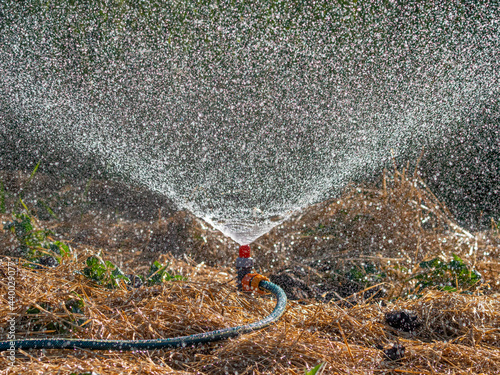 Sprinker irrigation system spraying water on field - close up photo