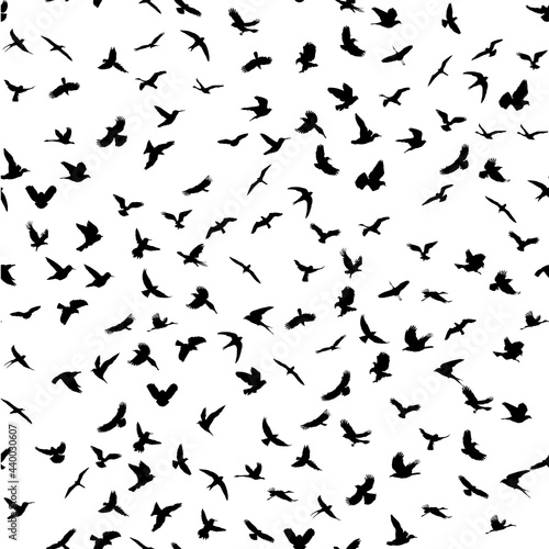 Seamless pattern. Flying birds black silhouettes. Vector illustration. Illustration for web or typography  magazine  brochure  flyer  poster . EPS 10  high res JPG.