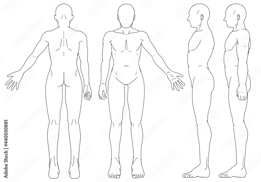 人体 素体 男性 三面図 Stock イラスト Adobe Stock