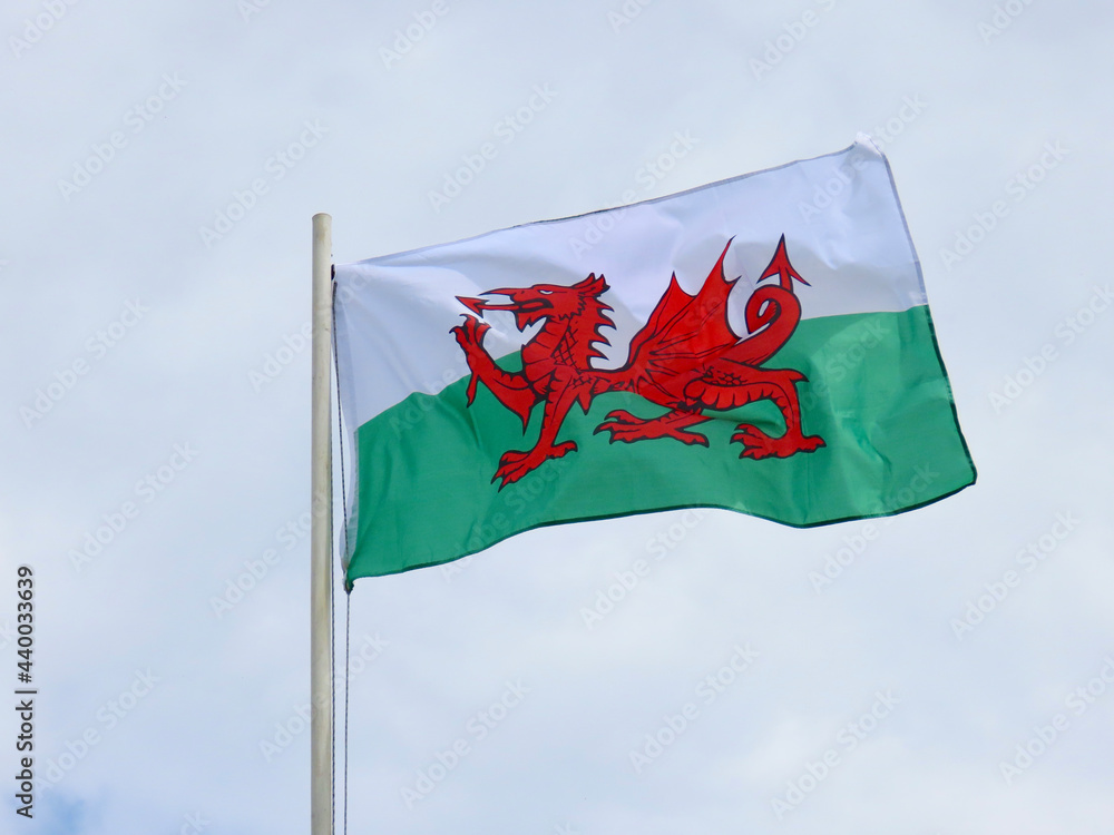 custom made wallpaper toronto digitalWales flag - red dragon passant on white and green - bold and proud floating in the wind against cloudy sky